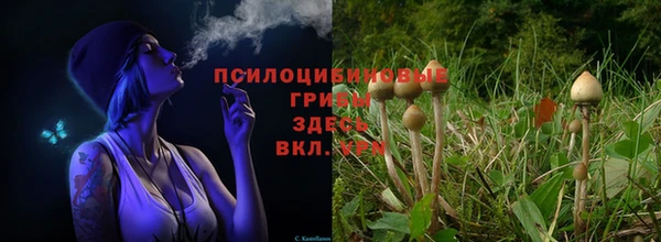 a pvp Верея