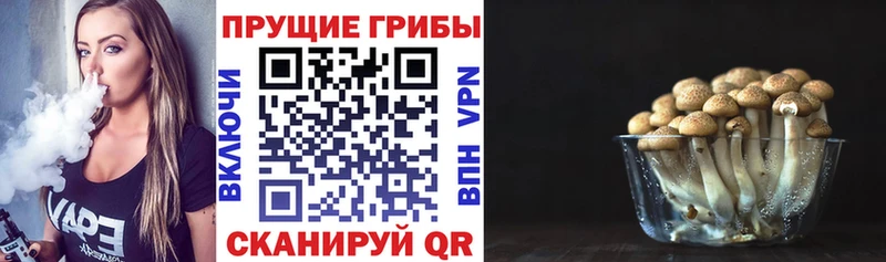 Купить закладки  Мариинский Посад  Псилоцибиновые грибы ЛСД 